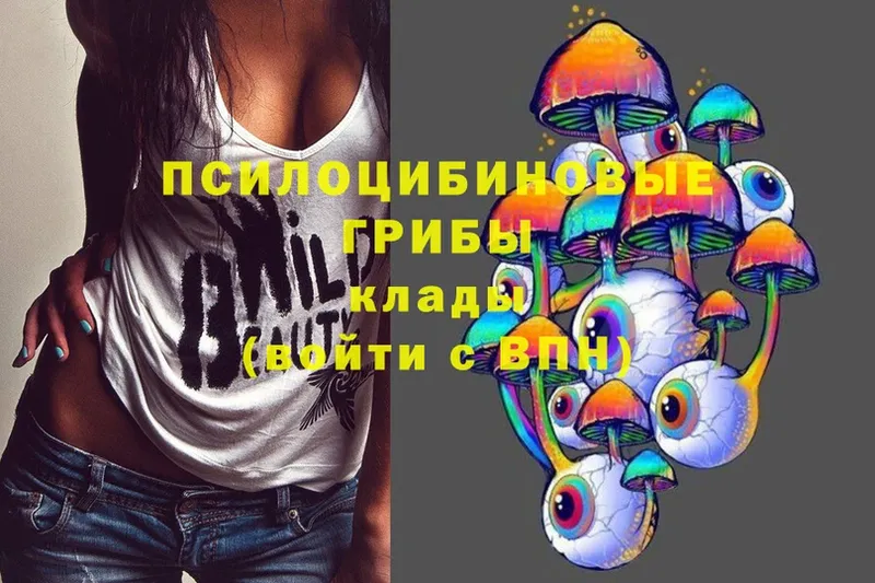 Псилоцибиновые грибы Magic Shrooms  Белая Холуница 